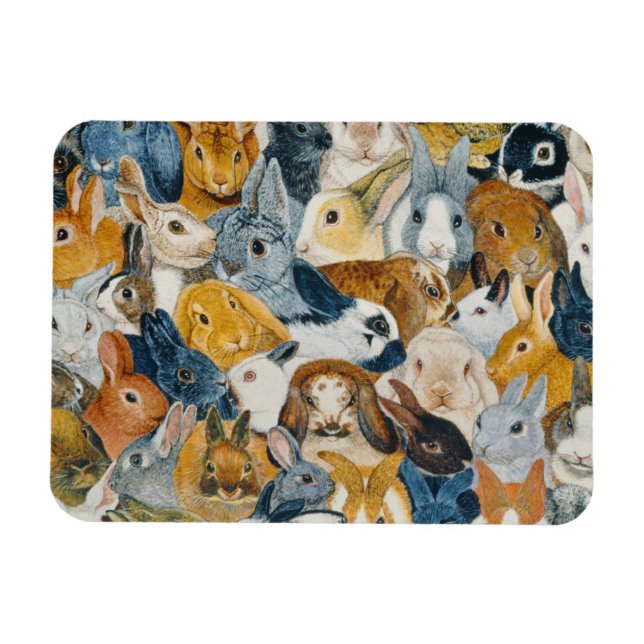 Bright Eyes Magnet (Horizontal)