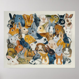 Bright Eyes Poster