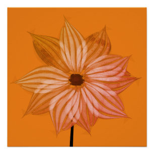 Bright Fall Flower Poster