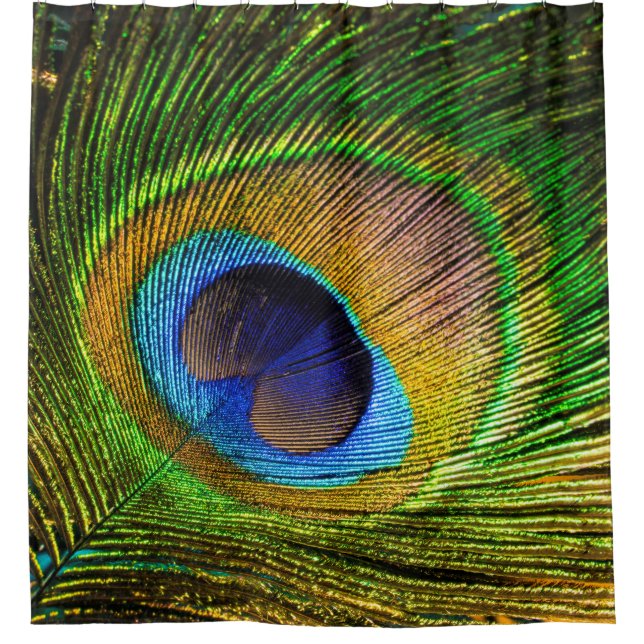 Bright Feather Shower Curtain (Front)