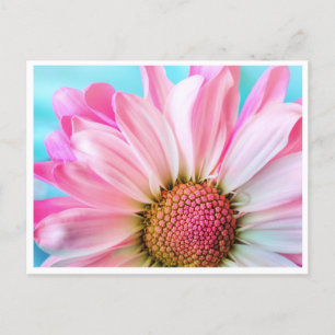 Bright Floral Delight Postcard