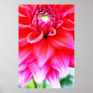 Bright Flower Poster