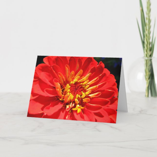 Bright flowers collection greeting card (blank) (Front)