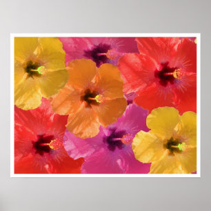 Bright flowers poster