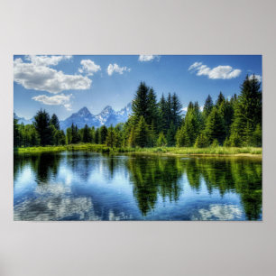 Bright Forest with Mountain and Lake Poster