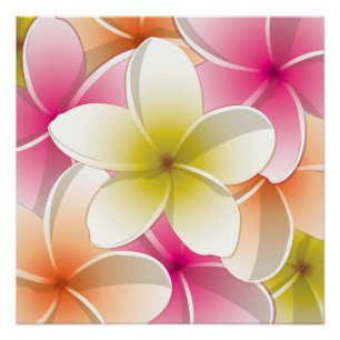 Bright Frangipani/ Plumeria flowers Poster