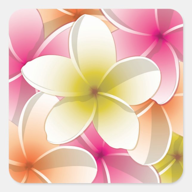 Bright Frangipani/ Plumeria flowers Square Sticker (Front)