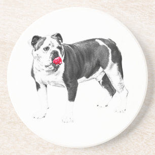 Bright Gatherings, Playful Coaster