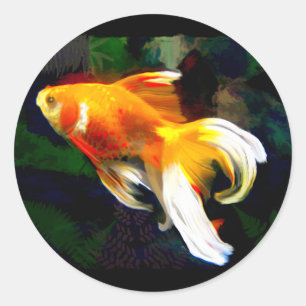 Bright Golden Koi in Dark Fish Pond Classic Round Sticker