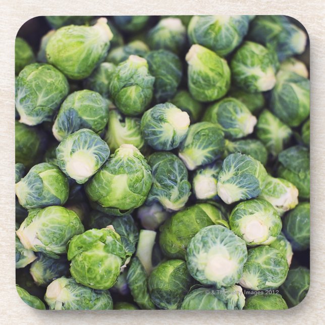 Bright Green Fresh Brussels Sprouts Coaster (Front)