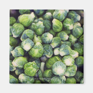 Bright Green Fresh Brussels Sprouts Magnet
