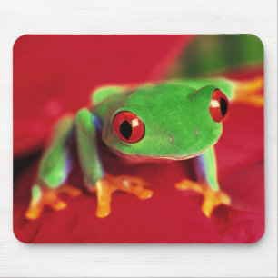Bright Green Frog Mouse Mat