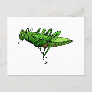 Bright Green Grasshopper Insect Cartoon Postcard