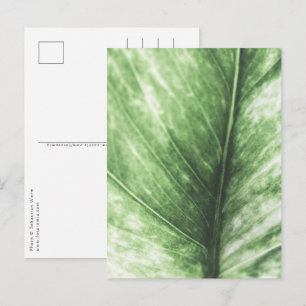 Bright green Leaf floral Design Postcard