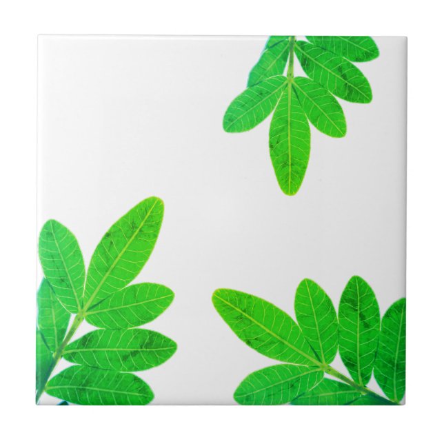 Bright Green Mango Tree Leaves Ceramic Tile (Front)