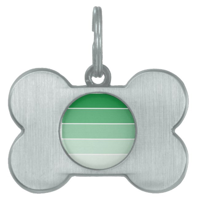 Bright Green Paint Samples Pet Name Tag (Front)