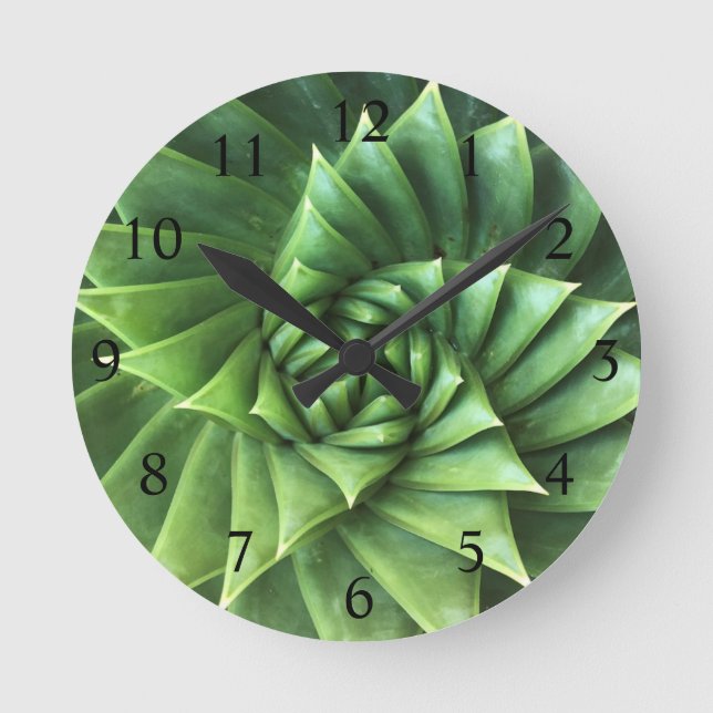Bright Green Spiral Aloe Polyphylla Succulent Round Clock (Front)