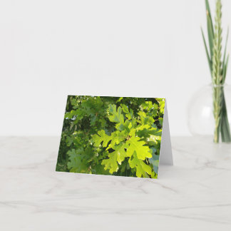 bright green sunlit green oak leaves notecard