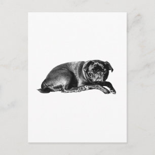 Bright Hello, Gentle Pause Postcard