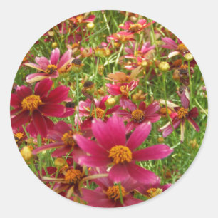 Bright Hot Pink and Yellow Daisy flowers Classic Round Sticker