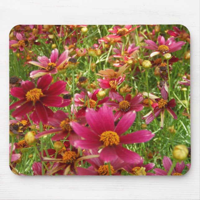 Bright Hot Pink and Yellow Daisy flowers Mouse Pad (Front)
