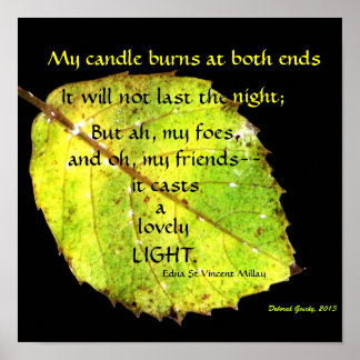 Bright Leaf of Greenish Gold against black Poster