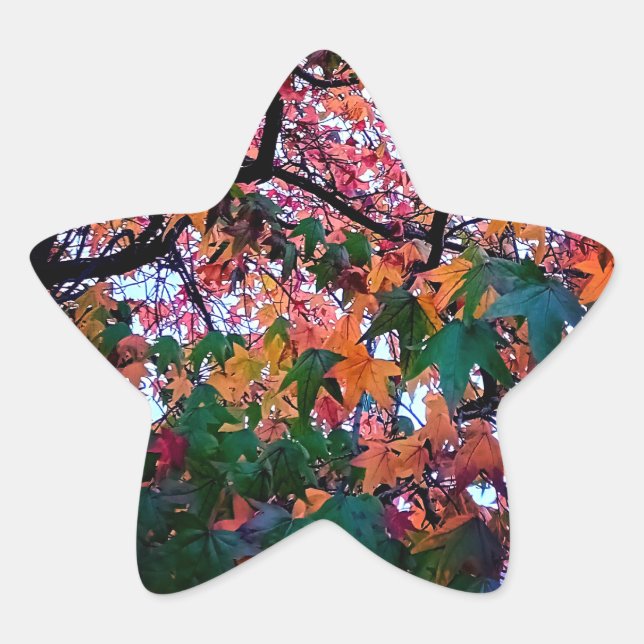 Bright leaves star sticker (Front)