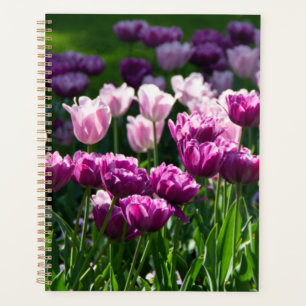 Bright lilac and pink tulips on a sunny day planner