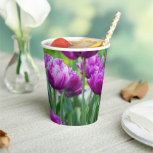 Bright lilac tulips on a sunny day paper cups