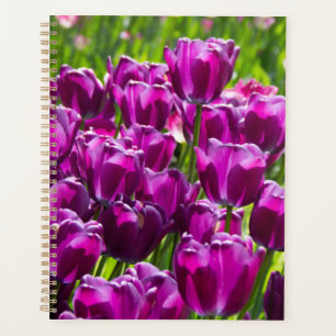 Bright lilac tulips on a sunny day planner