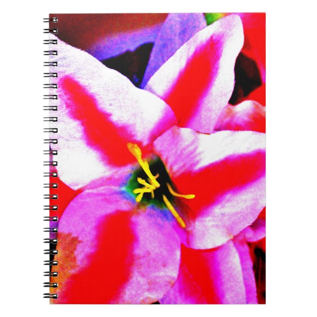 Bright Lily Notebook (Front)