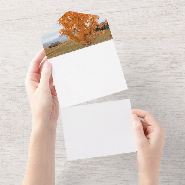 Bright October  All In One Invitation (Tearaway)