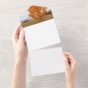 Bright October  All In One Invitation
