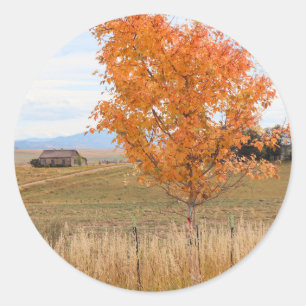 Bright October Classic Round Sticker