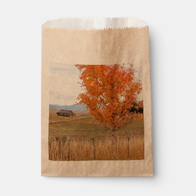 Bright October  Favour Bag (Front)