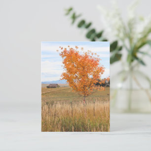 Bright October  Postcard