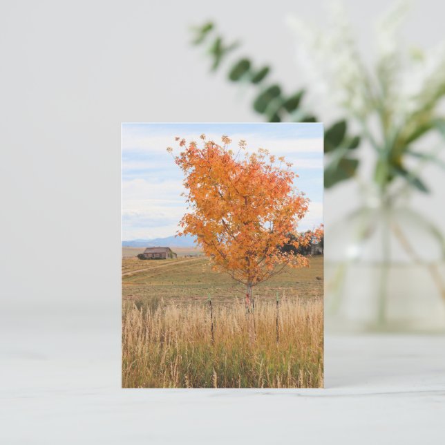 Bright October  Postcard (Standing Front)