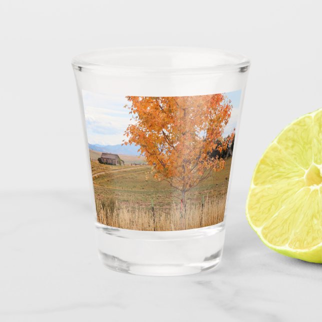 Bright October  Shot Glass (Front)