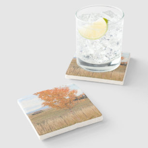 Bright October Stone Coaster
