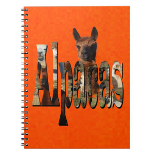 Bright Orange Alpaca, Notebook