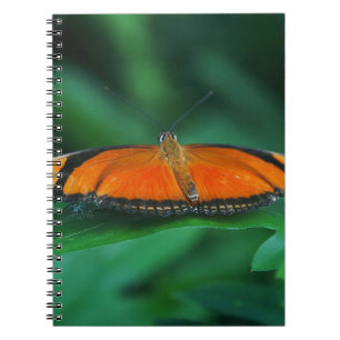 Bright Orange and Black Butterfly on Leaf Notebook