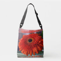 Bright orange blossom