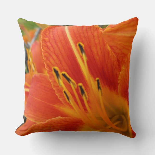bright orange cushion (Front)