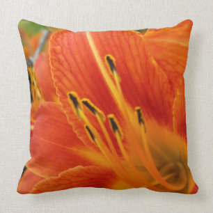 bright orange cushion