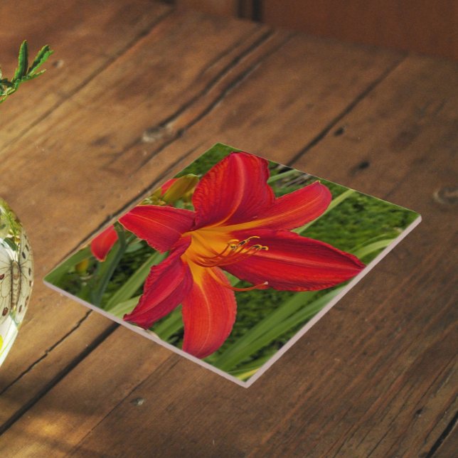 Bright Orange Daylily Bloom Floral Ceramic Tile (In Situ)