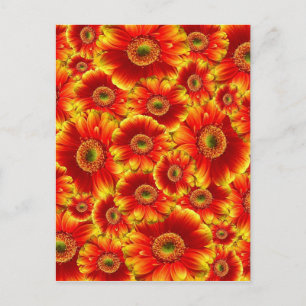 Bright Orange Flowers Postcard