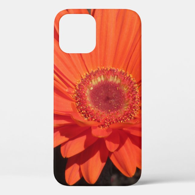 Bright Orange Gerbera Daisy Flower Photo Case-Mate iPhone Case (Back)