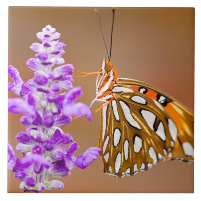 Bright Orange Gulf Fritillary Butterfly Ceramic Tile (Front)