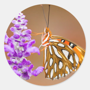 Bright Orange Gulf Fritillary Butterfly Classic Round Sticker
