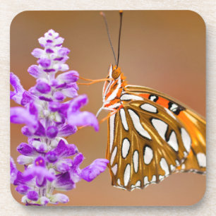 Bright Orange Gulf Fritillary Butterfly Coaster